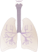 lung